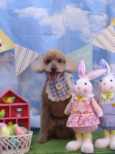 20240309こたろうくん